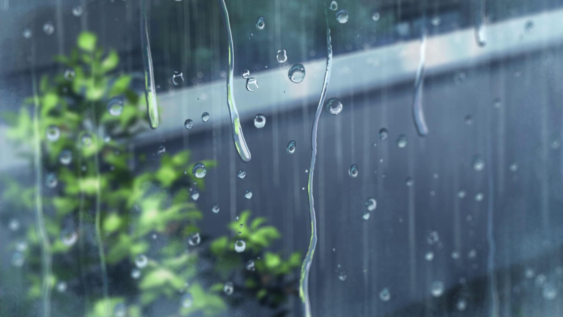 window, Rain, The Garden of Words Wallpaper