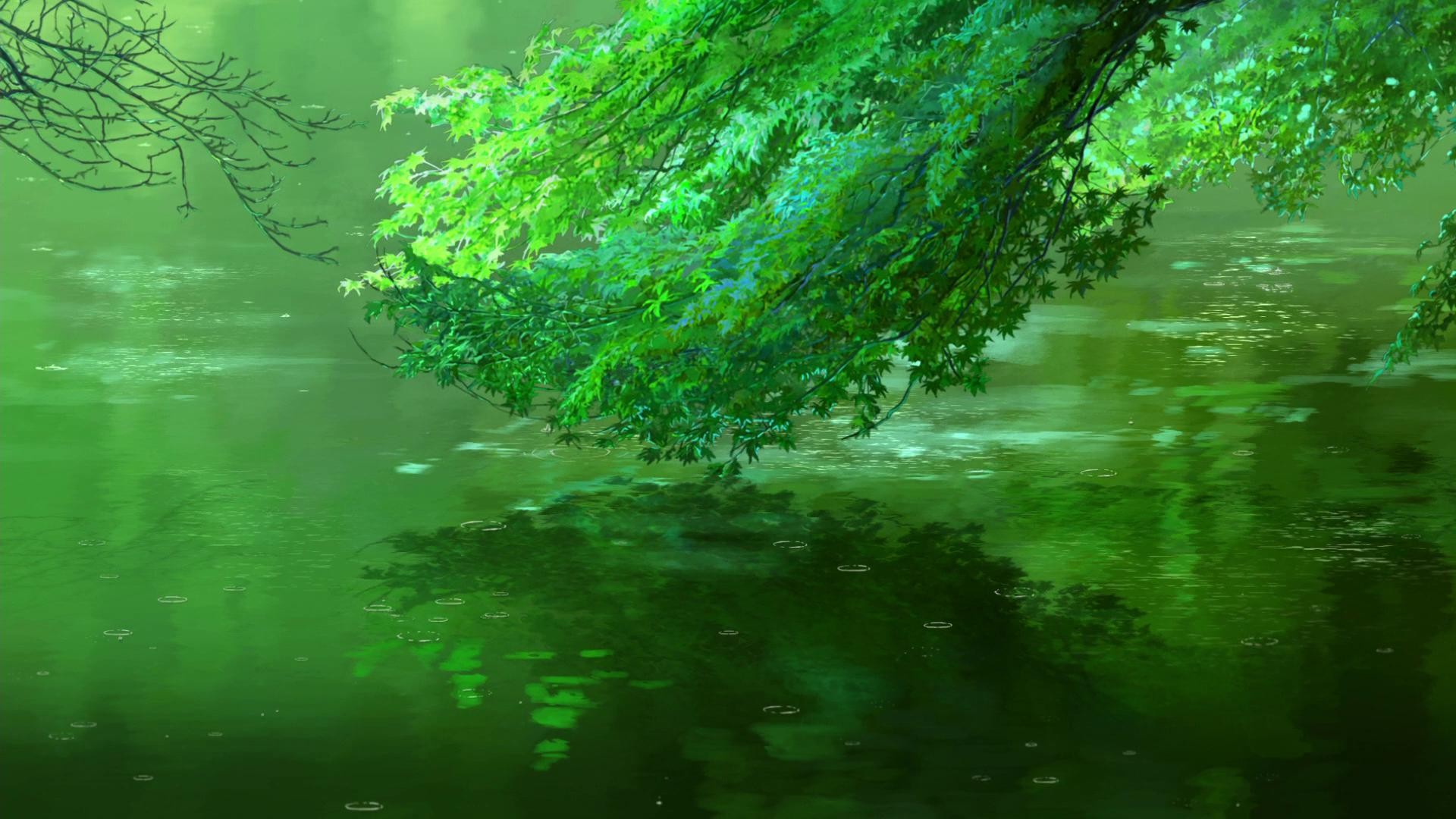 water, Branch, Leaves, The Garden of Words Wallpaper