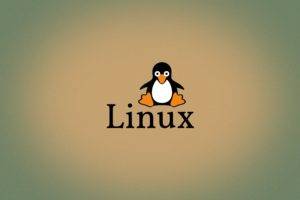 Tux, Linux, Open source, Penguins, Logo