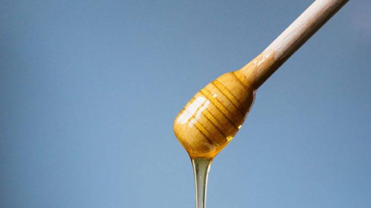 photography, Honey, Honey spoon, Honey wand, Honey dipper HD Wallpaper Desktop Background