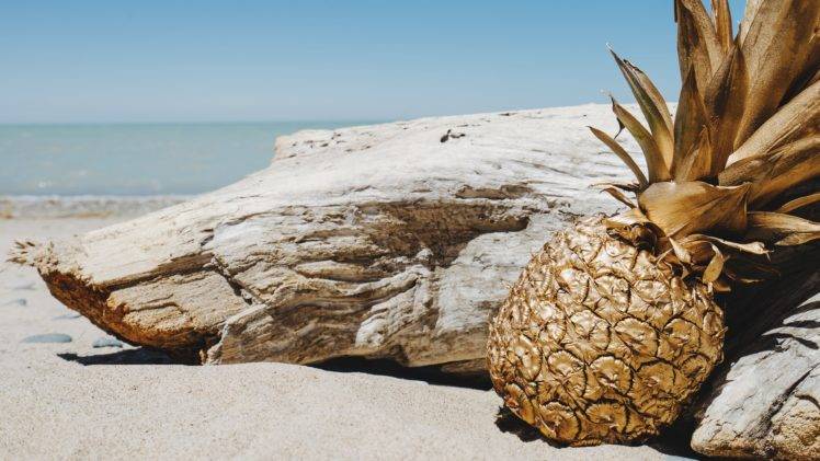 photography, Pineapples, Beach, Landscape HD Wallpaper Desktop Background