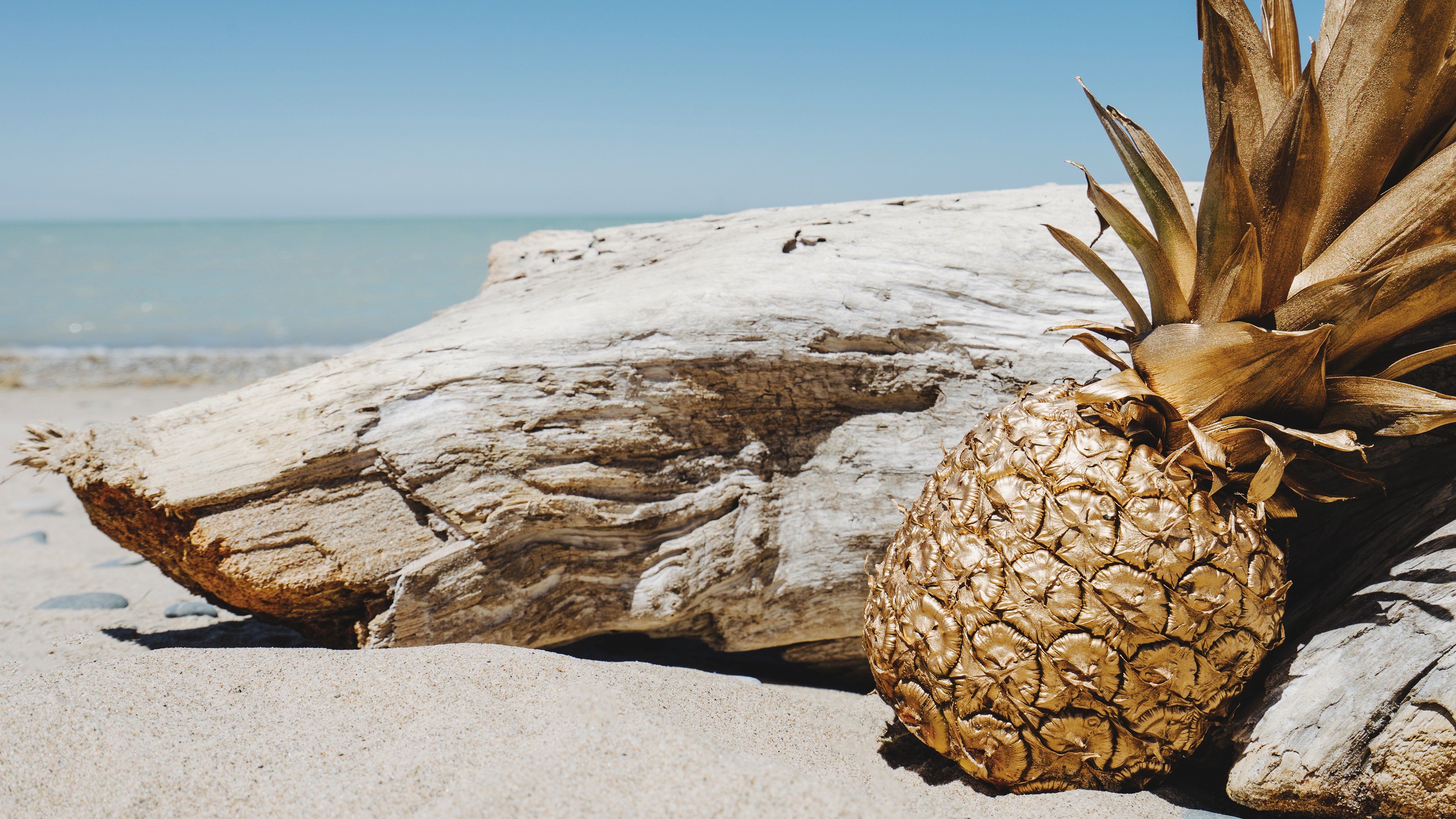 photography, Pineapples, Beach, Landscape Wallpaper