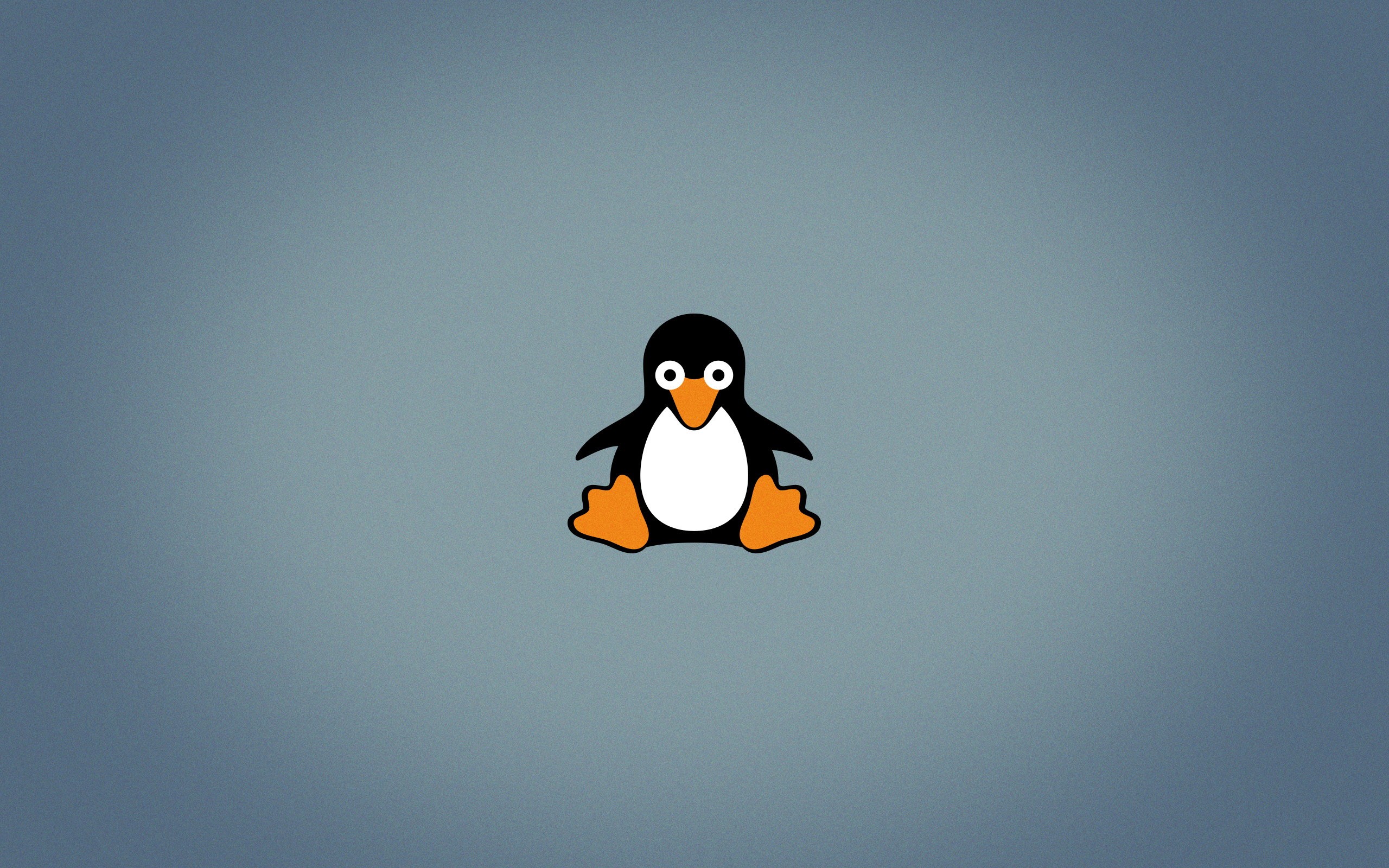 Tux, Linux, Open source, Penguins, Logo Wallpaper
