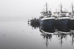 gloomy, Mist, Harbor, Ship, Photography