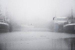 gloomy, Mist, Harbor, Ship, Photography, Seagulls