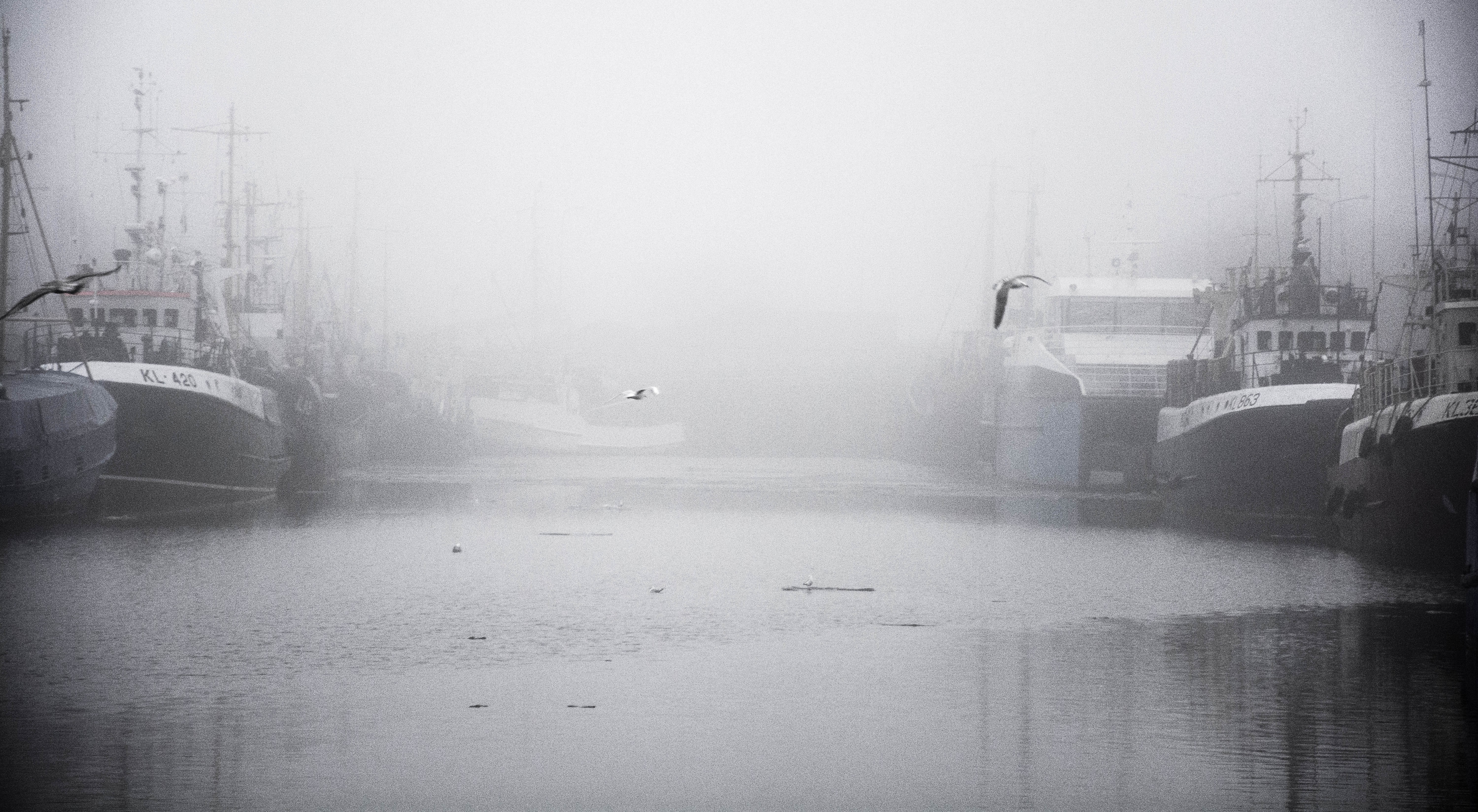 gloomy, Mist, Harbor, Ship, Photography, Seagulls Wallpaper