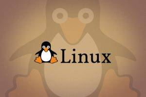 Tux, Linux, Penguins, Open source, Logo