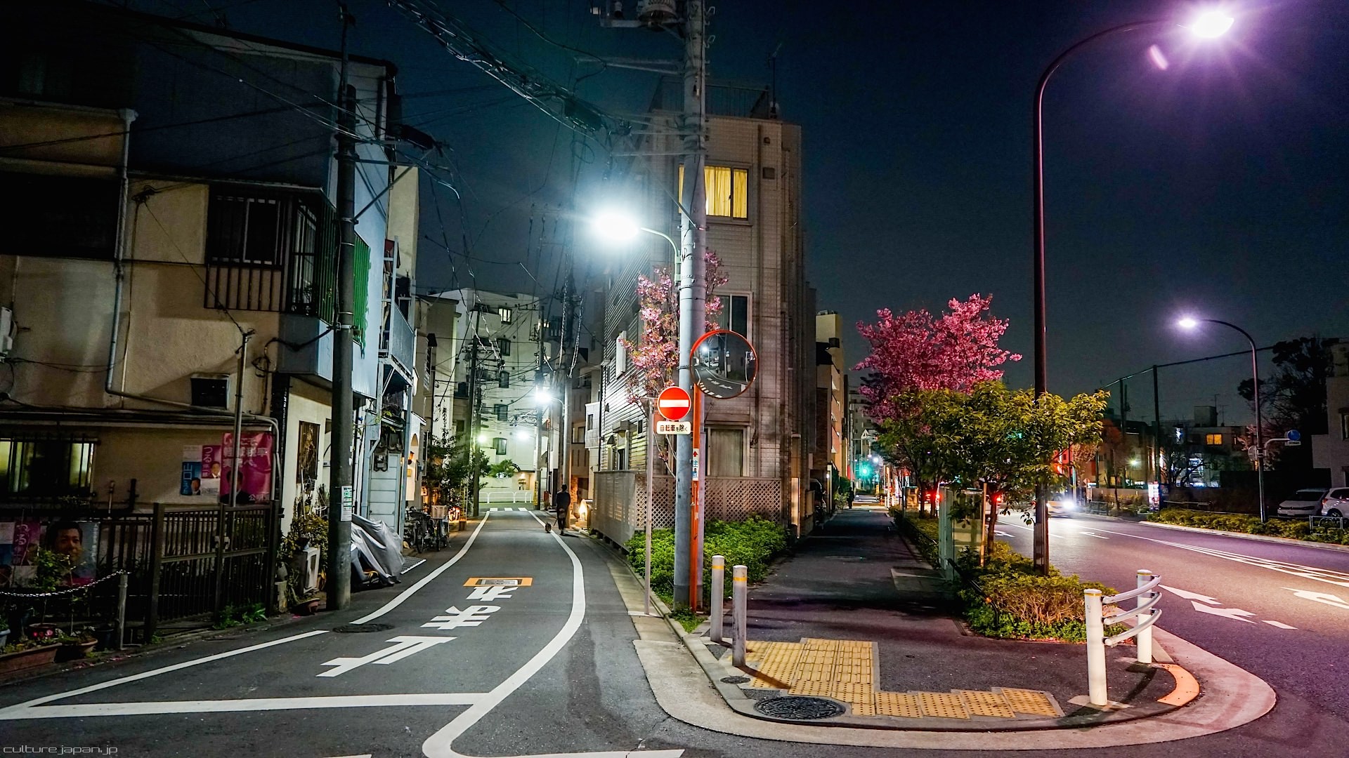 cityscape, Street light, Road, Japan Wallpaper