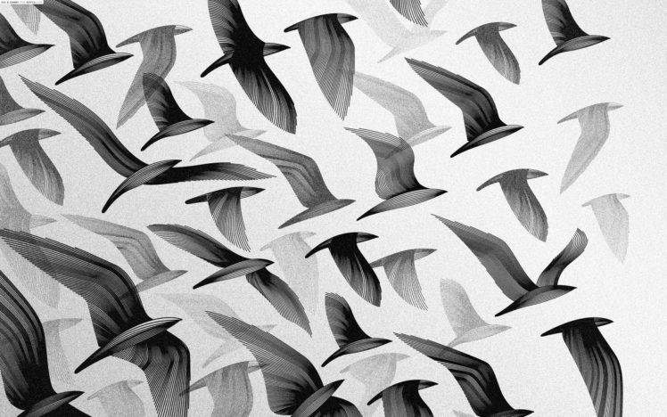 monochrome, Birds HD Wallpaper Desktop Background