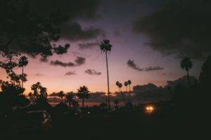 landscape, Photography, Palm trees, Car