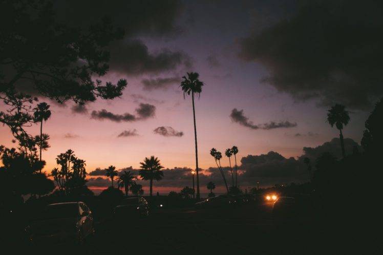 landscape, Photography, Palm trees, Car HD Wallpaper Desktop Background