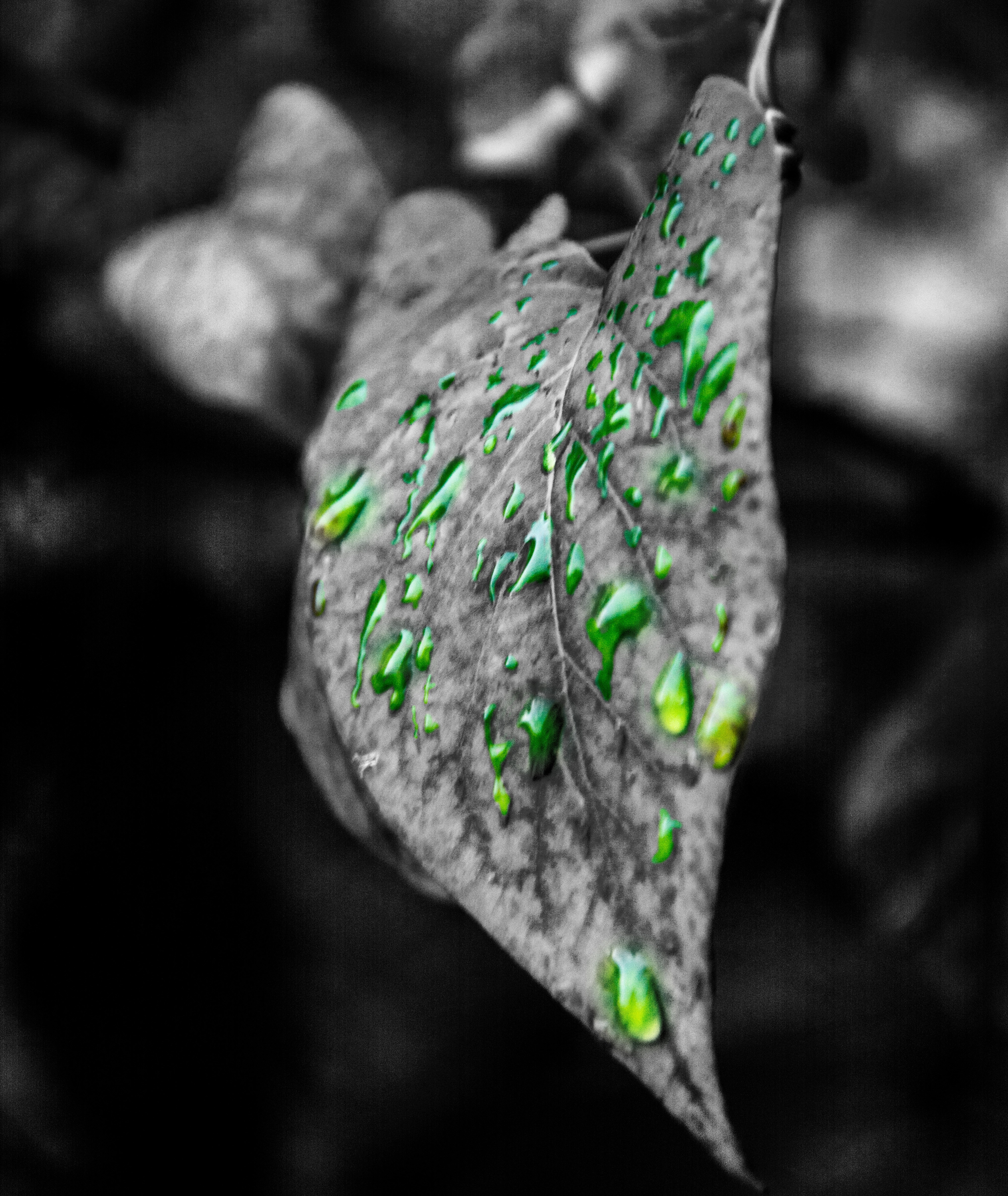 landscape, Monochrome, Rain, Photography Wallpaper