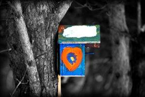 Bird Box, Selective coloring, Nature, Wood, Trees