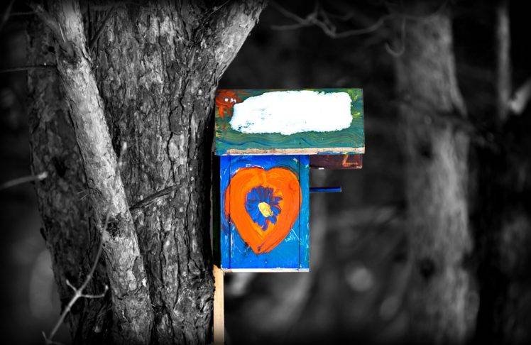 Bird Box, Selective coloring, Nature, Wood, Trees HD Wallpaper Desktop Background