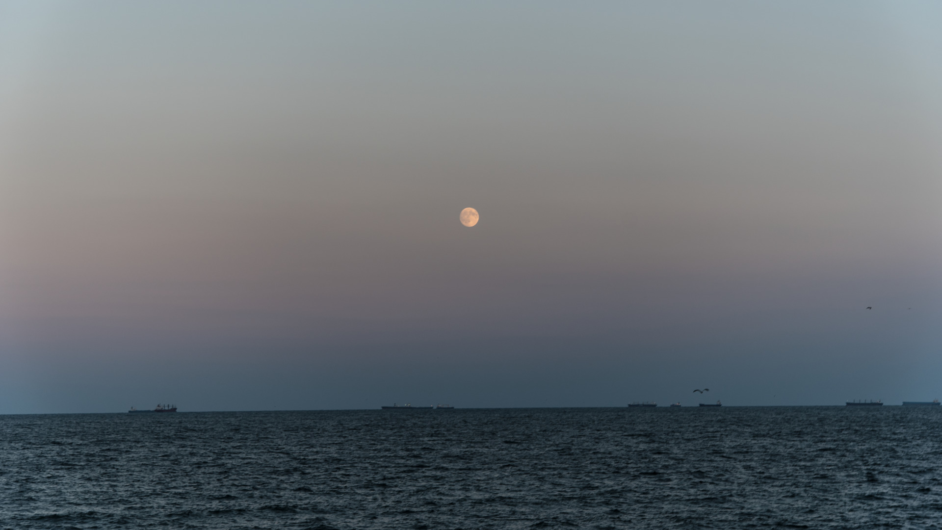 sky, Sea, Water, Moon Wallpaper