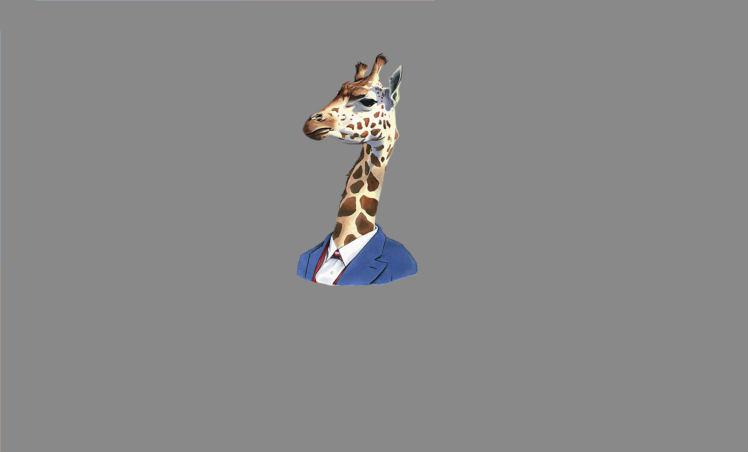 giraffes, Gentleman, Minimalism, Animals, Simple background HD Wallpaper Desktop Background