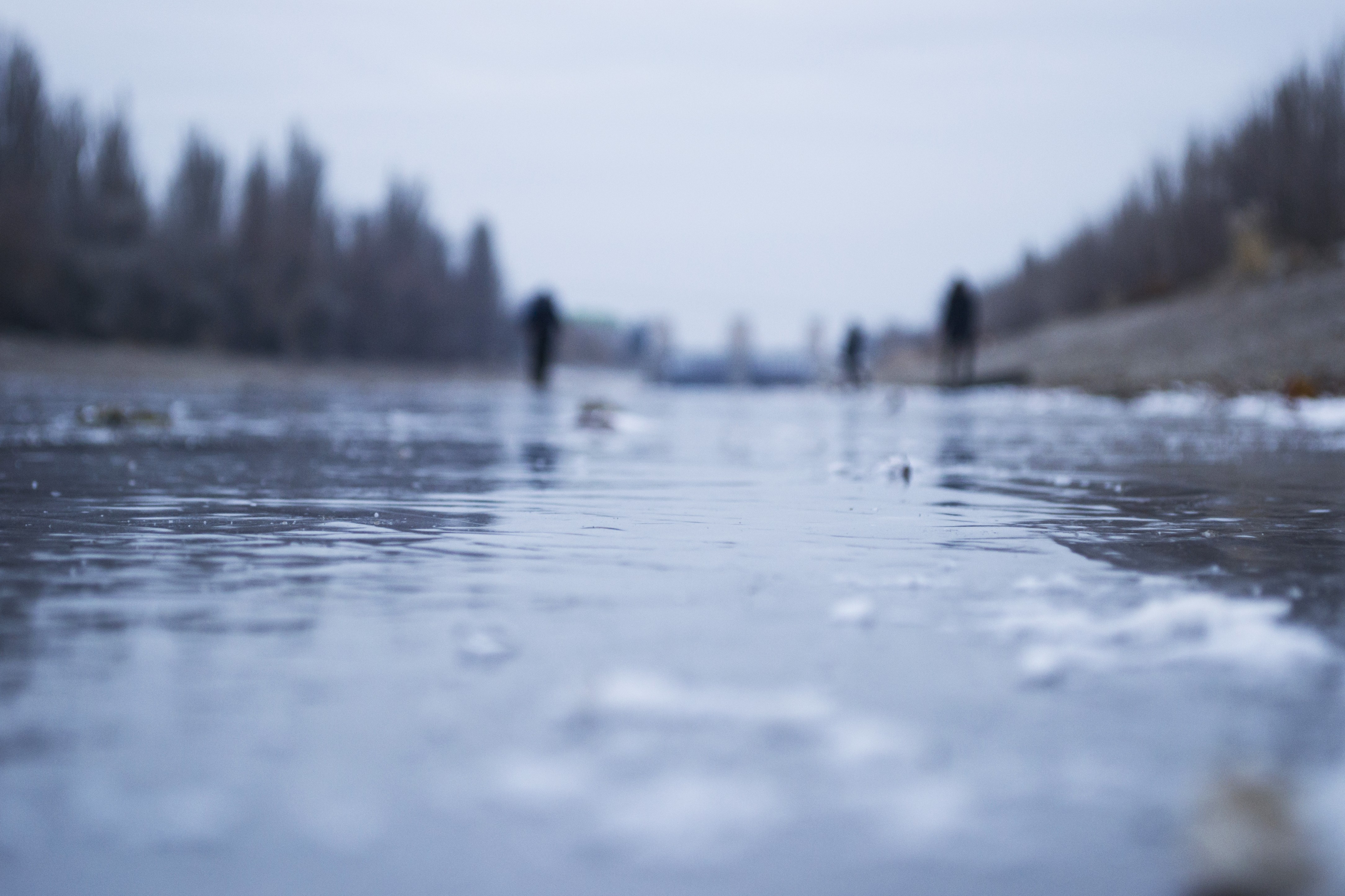 winter, Frost Wallpaper