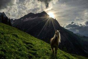 horse, Nature, Mountains, Grass, Landscape, Sunlight, Sky, Animals