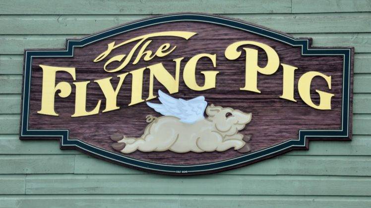 Flying Pig, Humor HD Wallpaper Desktop Background