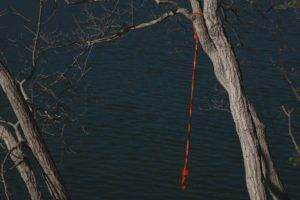 water, Rope swing, Trees