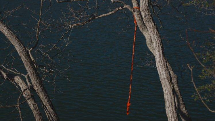 water, Rope swing, Trees HD Wallpaper Desktop Background