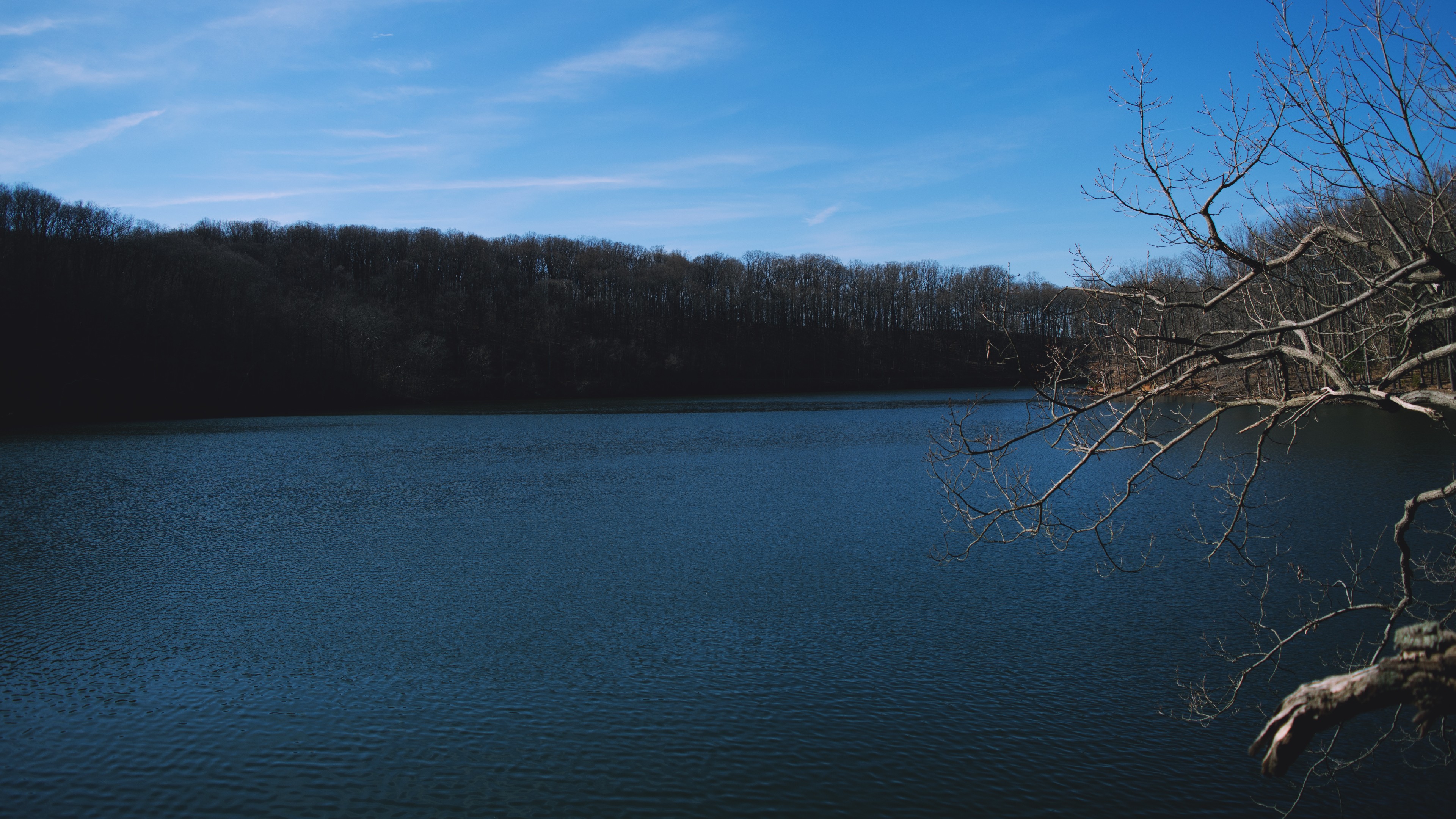 lake, Water, Trees Wallpaper