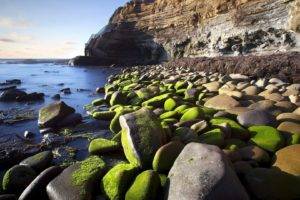 nature, Beach, Stone, Sea, Rocks, Cliff, Moss