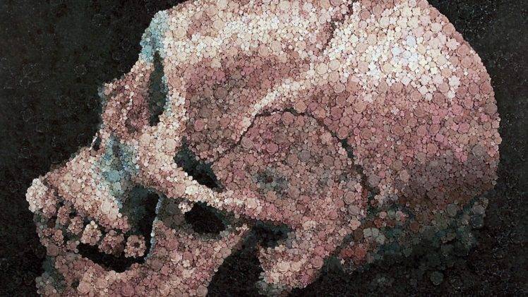 skull, Rose, Flowers, Painting, Transformation, Bones, Skull and bones HD Wallpaper Desktop Background