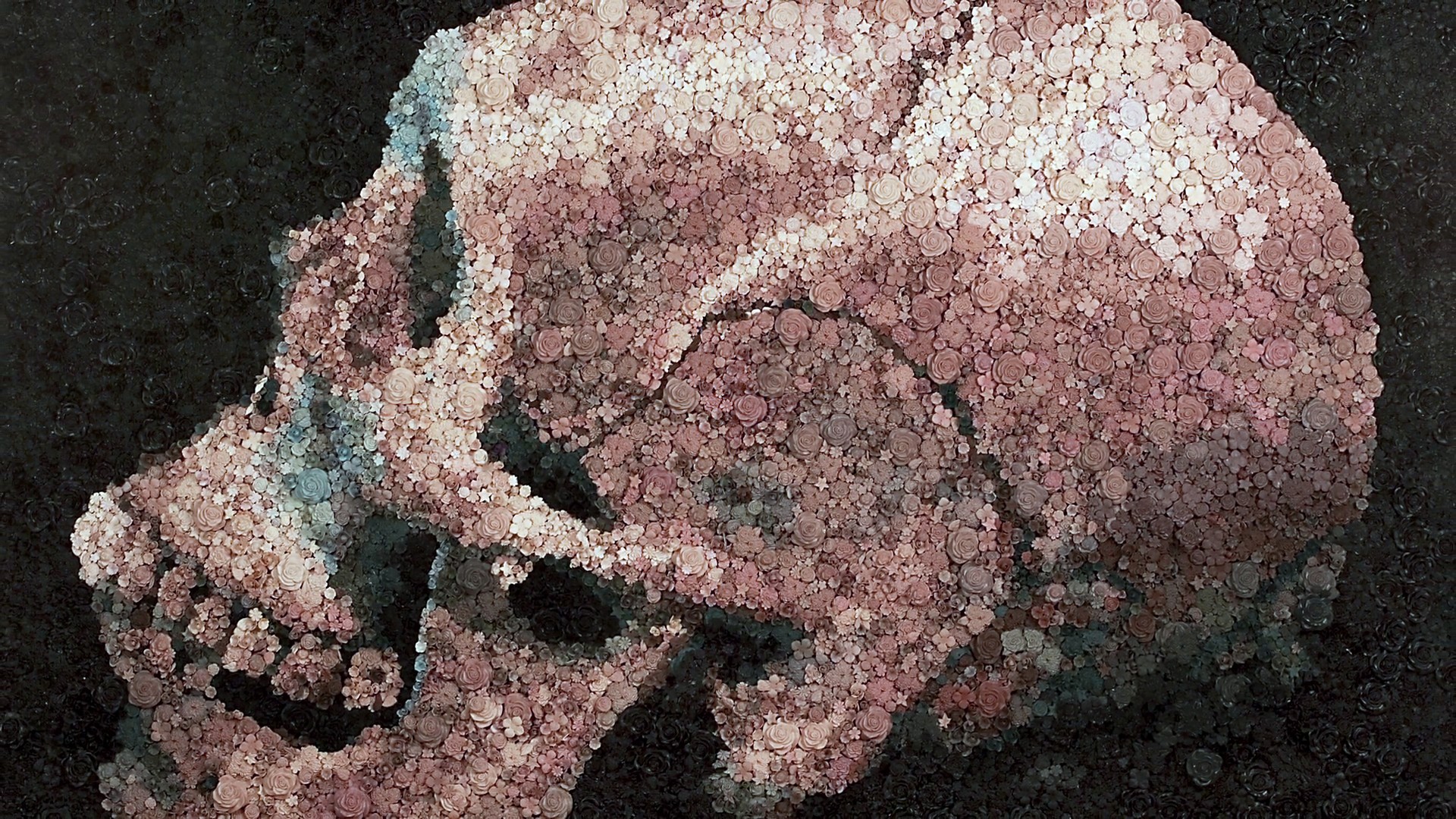 skull, Rose, Flowers, Painting, Transformation, Bones, Skull and bones Wallpaper