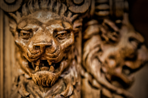 lion, Wood, Texture