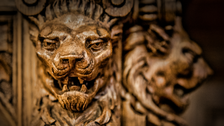 lion, Wood, Texture HD Wallpaper Desktop Background
