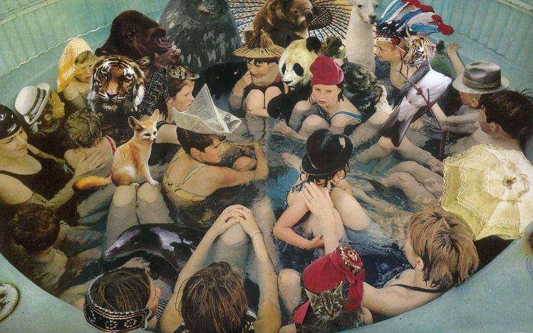 children, Album covers, Cover art, Music, Swimming pool, Tiger, Fennec, Panda, Llamas, Koalas, Gorillas, Seals, Otters, Collage HD Wallpaper Desktop Background