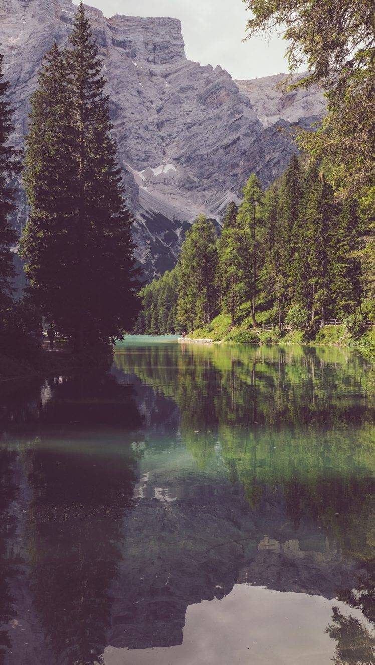 nature, Water, Trees, River HD Wallpaper Desktop Background