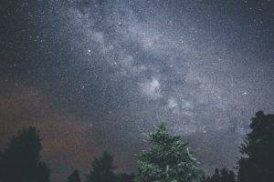nature, Stars, Trees, Sky