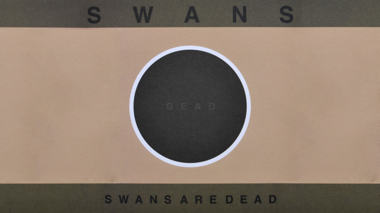 Swans, Album covers, Music HD Wallpaper Desktop Background