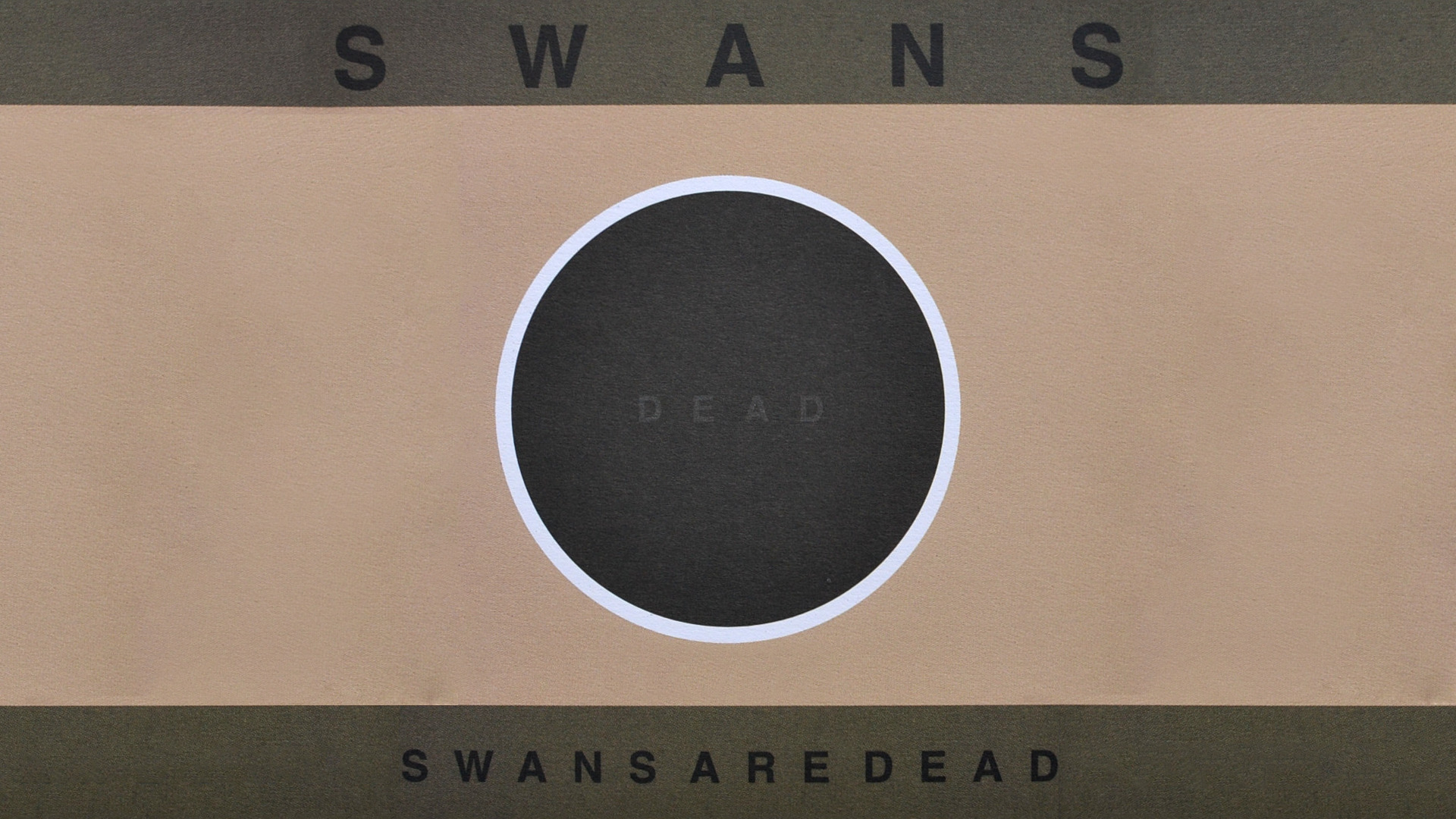 Swans, Album covers, Music Wallpaper