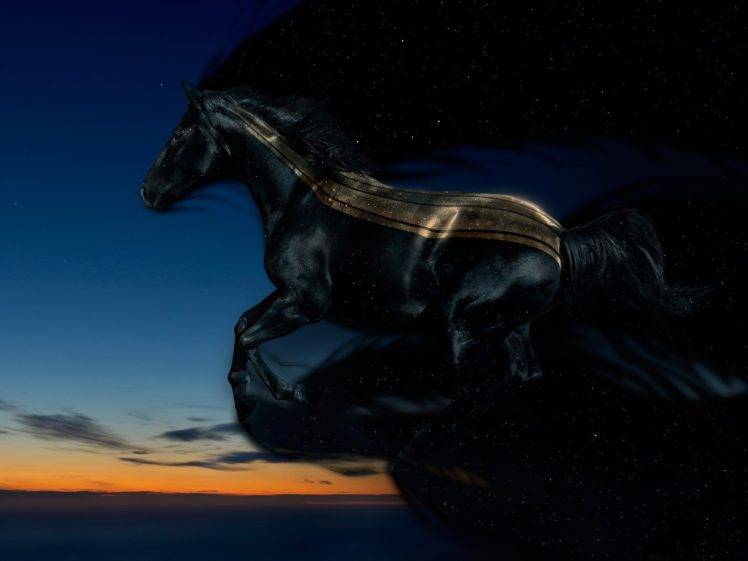 horse, Sky, Flying, Space, Stars HD Wallpaper Desktop Background