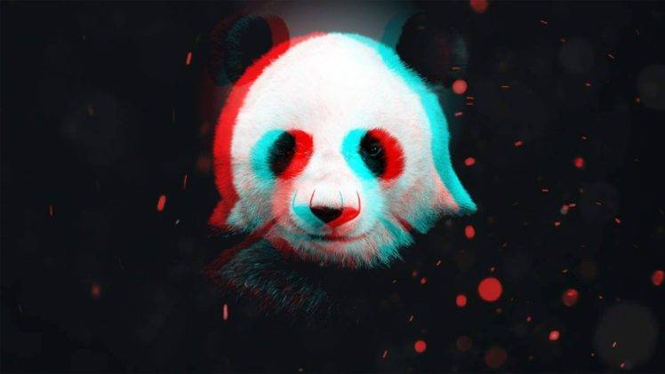 panda HD Wallpaper Desktop Background