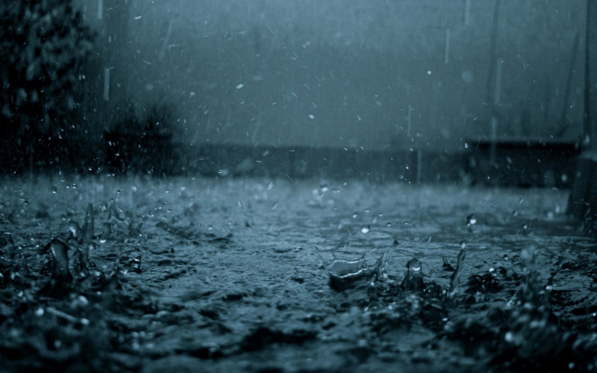 rain, Ground Wallpaper