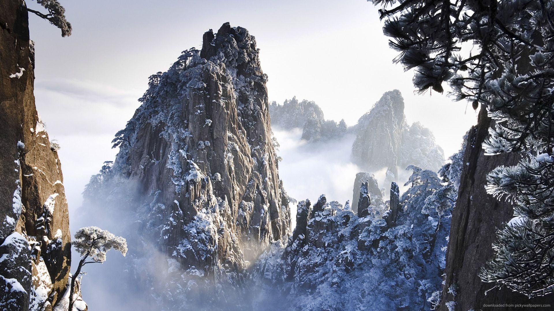 trees, Nature, Rock, Stones, Mountains, Snow Wallpaper