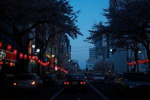 street, Night, Lights, Car