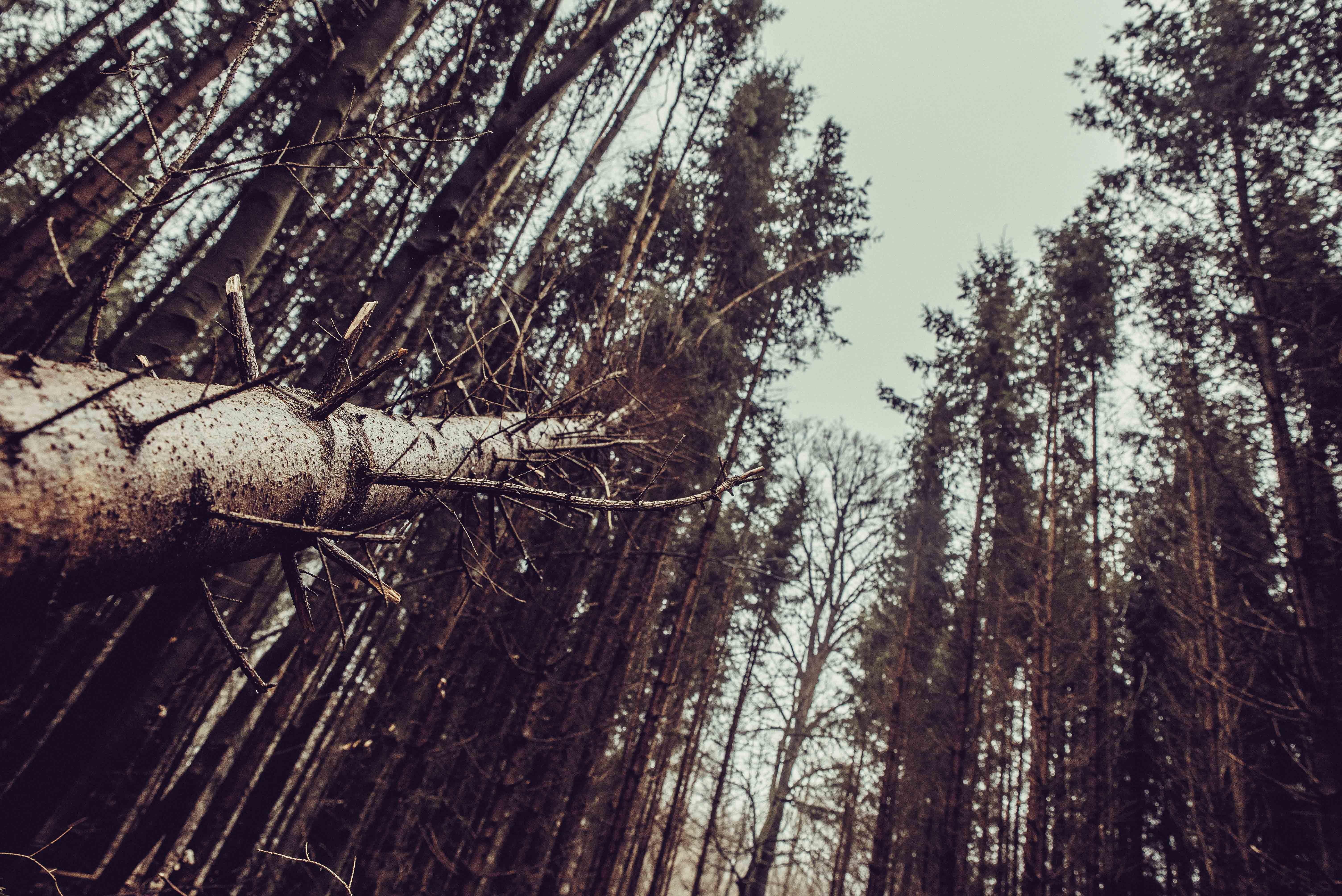 landscape, Outdoors Wallpaper