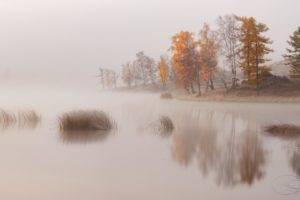 nature, Landscape, Trees, Water, Lake, Mist, Morning, Fall, Reflection, Hills