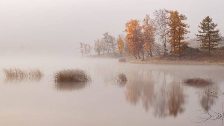 nature, Landscape, Trees, Water, Lake, Mist, Morning, Fall, Reflection, Hills HD Wallpaper Desktop Background