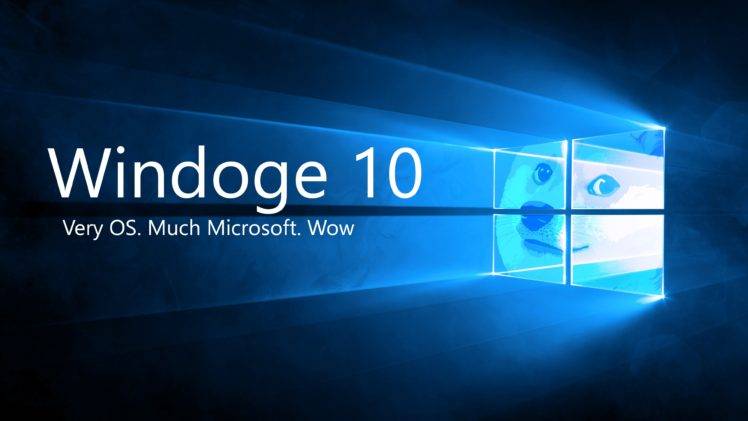 doge, Microsoft Windows, Shiba Inu, Memes HD Wallpaper Desktop Background