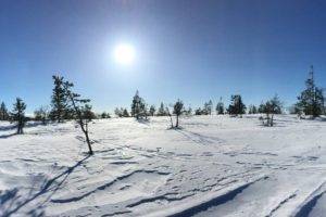 winter, Mountains, Pine trees, Snow, Clear sky, Sky, Panorama