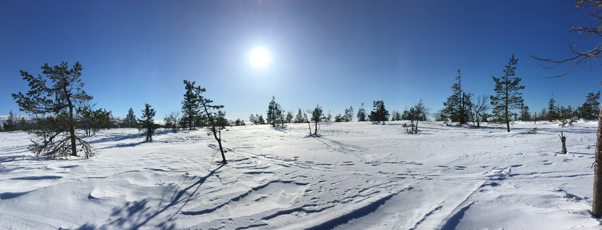 winter, Mountains, Pine trees, Snow, Clear sky, Sky, Panorama Wallpaper