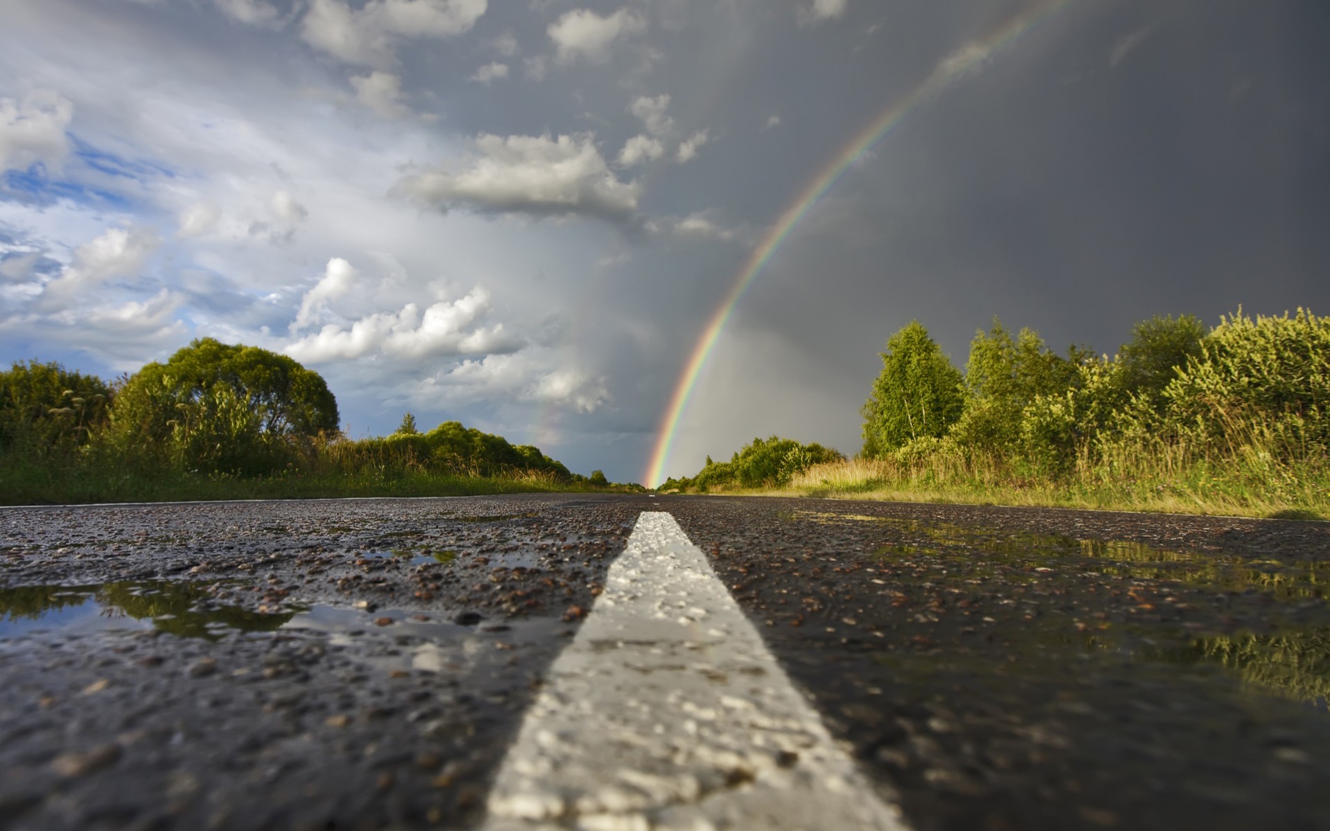 rainbows, Road, Worms eye view, Trees, Clouds, Wet, Water Wallpaper