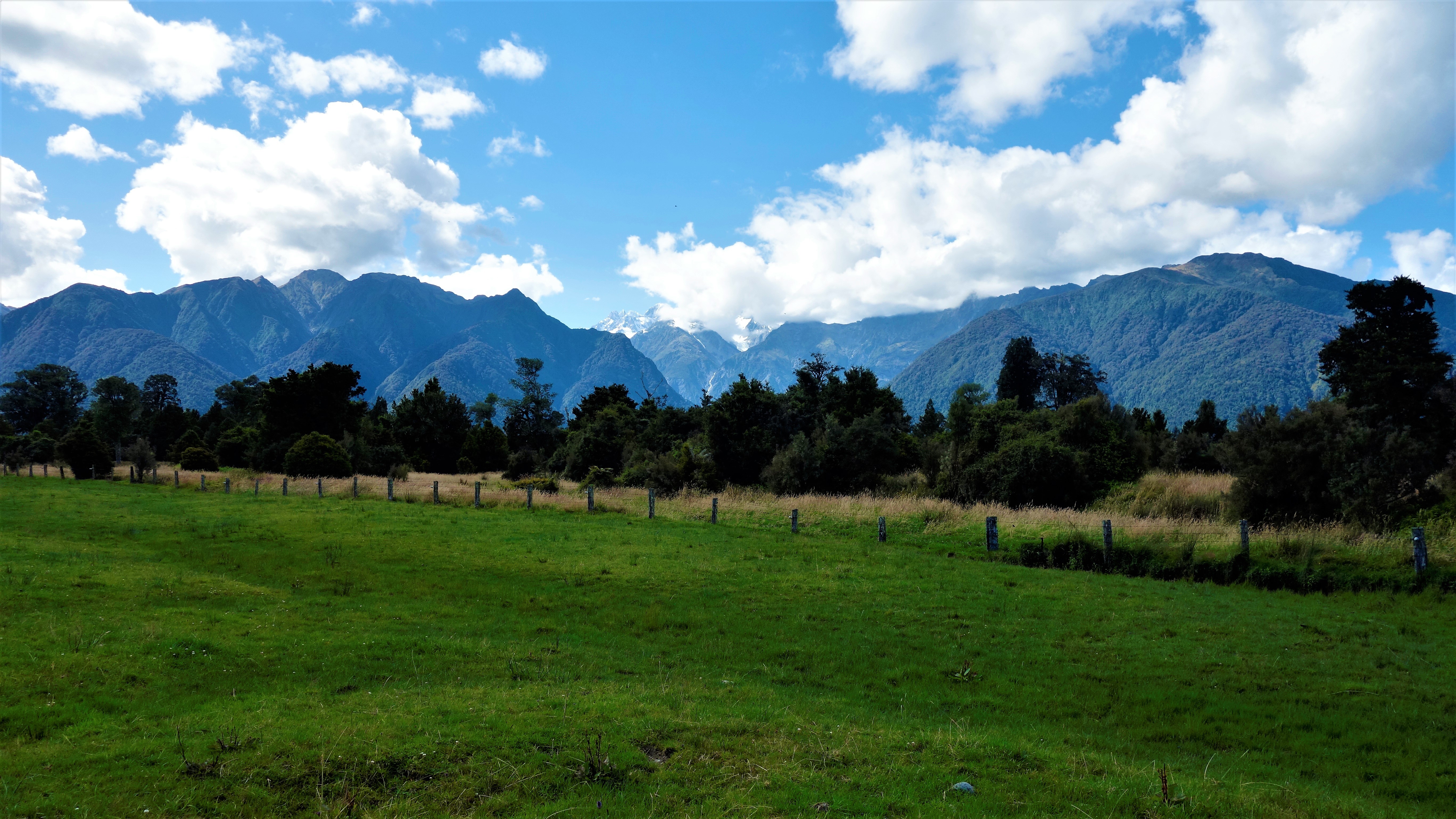 New Zealand, Lake Matheson, Jetty Viewpoint Wallpaper