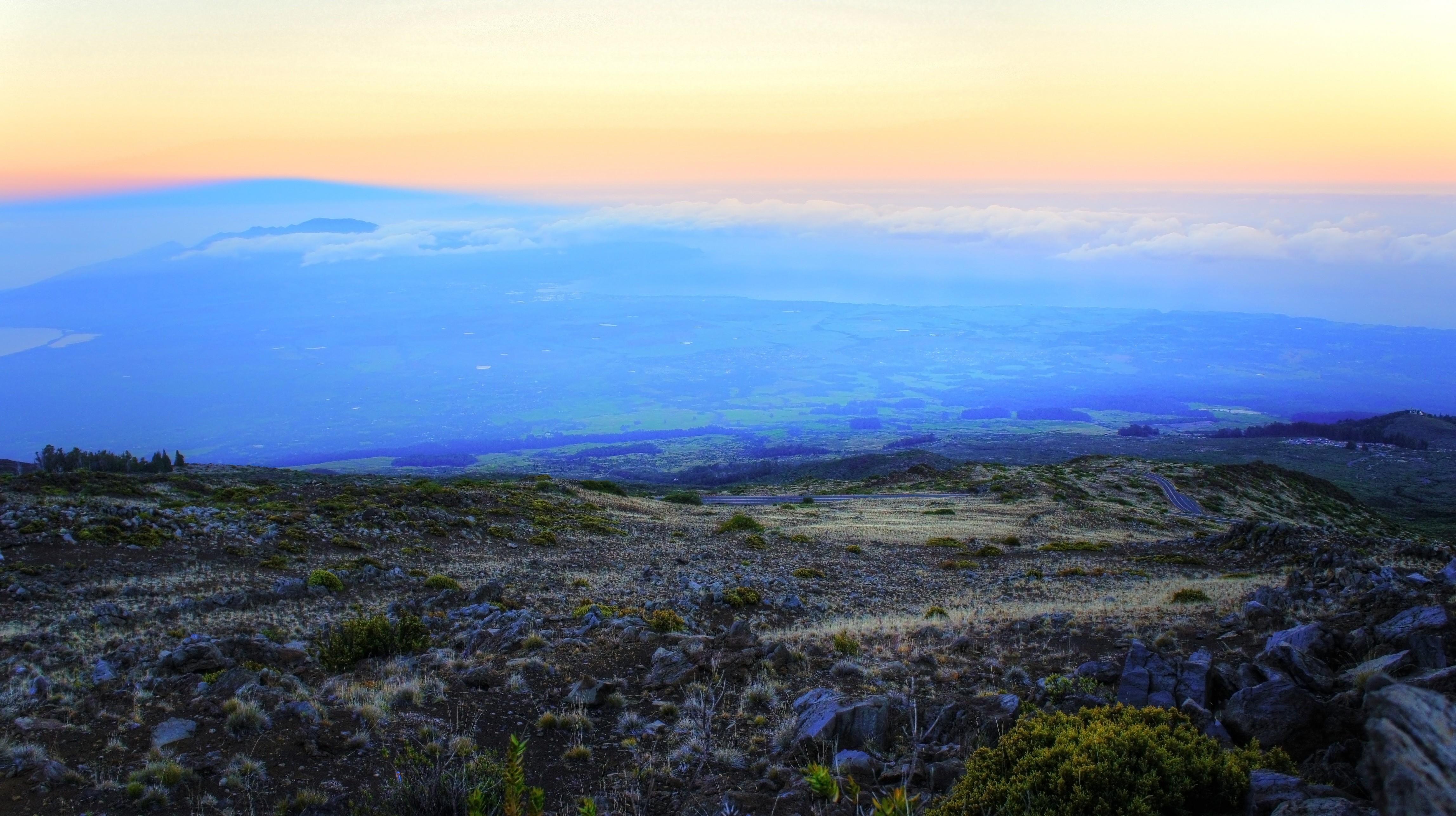 Hawaii, Maui, Tropical forest, Tropics, Palm trees, Beach Wallpaper